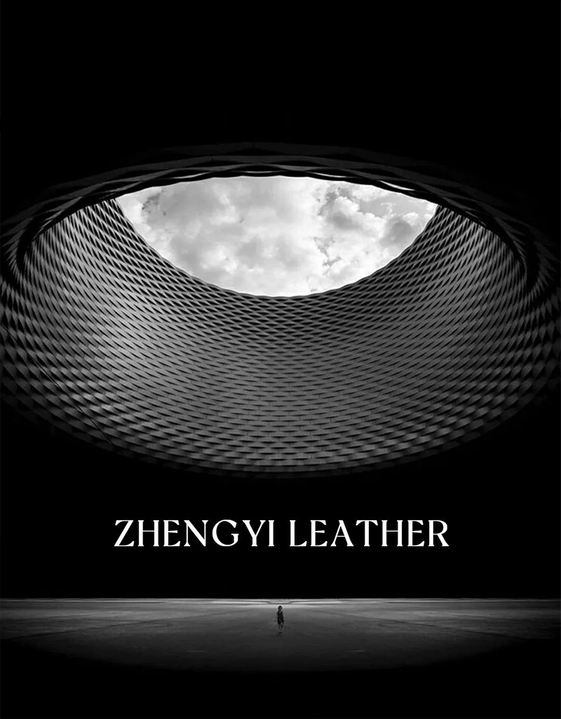 ZHENGYI | ҲǘO(jin)x